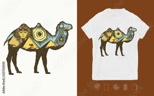 Camel double exposure animals . Ancient Egypt, Pharaoh, Ankh, Pyramid. Symbol of archeology, ancient civilizations. Print for t-shirts and another, trendy apparel design