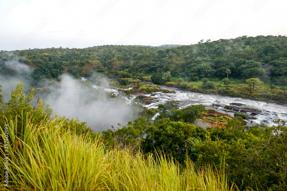 Landscape in Murchison Falls Landscape in Murchison Falls