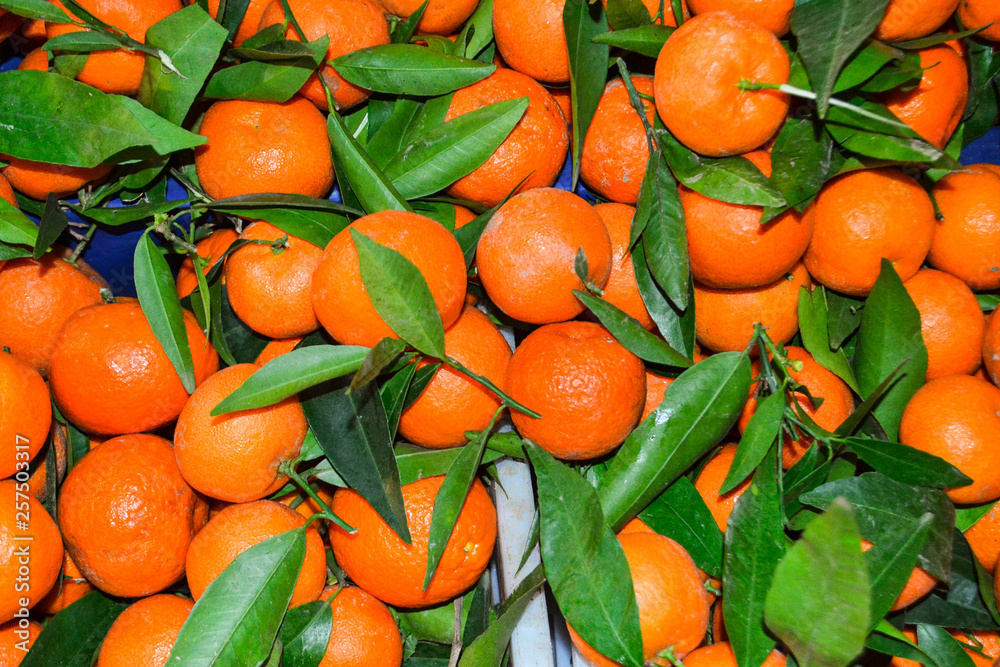 Many shining organic bright saturated oranges on market. pattern with leafes