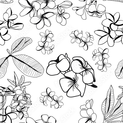 pattern of decortive plumeria flower and leaves, frangipani