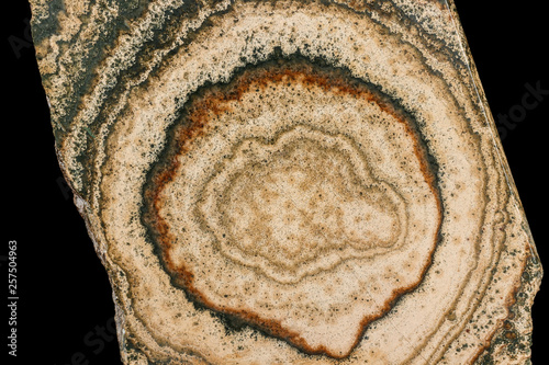 Macro stone mineral Datolite-wollastonite Scarn on a black background