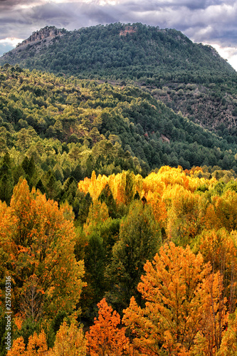 Cut lime in Peralejos of Truchas. Alto Tajo Natural Park. Guadalajara. Spain photo