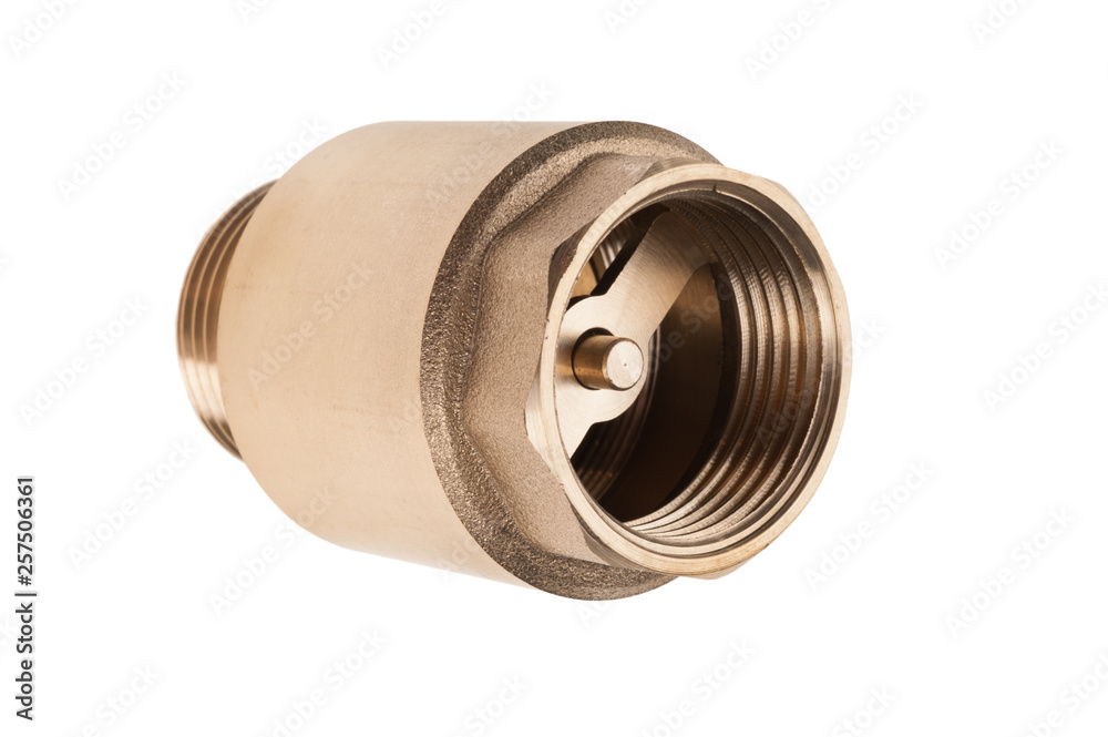 brass check valve isolated brass check valve isolated