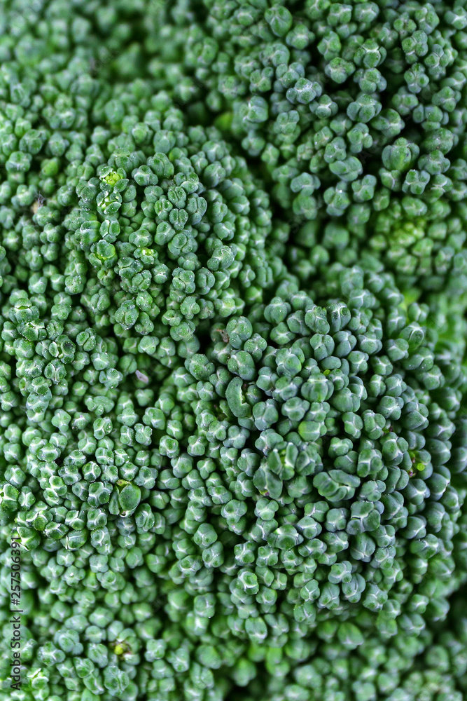 Closeup Macro Image of Green Broccoli Head Florets