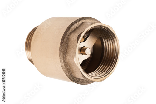 Cuadro en lienzo brass check valve isolated