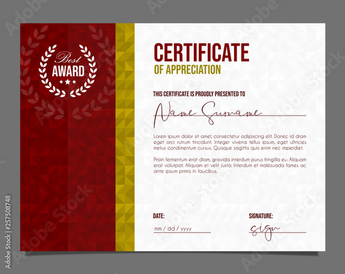 Professional certificate. Template diploma with luxury and modern pattern background. Achievement certificate.