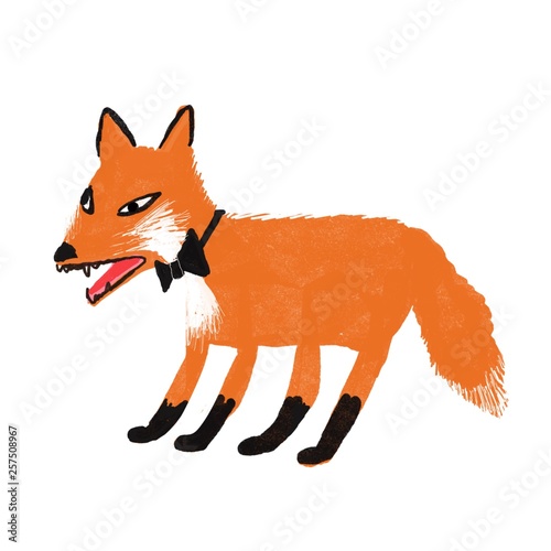 red fox