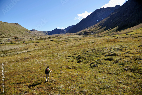 Woman hiking in Chugach Mountains