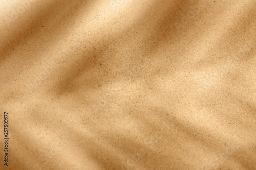 Dry beach sand as background, top view