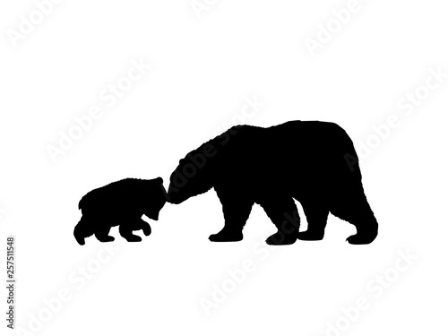 Bear family black silhouette animals. Vector Illustrator.  