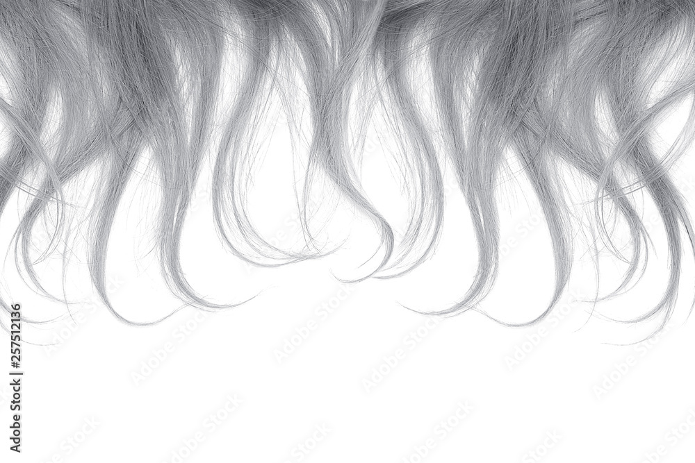 Gray hair tips isolated on white background. Close-up Gray hair tips isolated on white background. Close-up