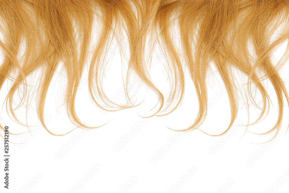 Blond hair tips isolated on white background. Close-up