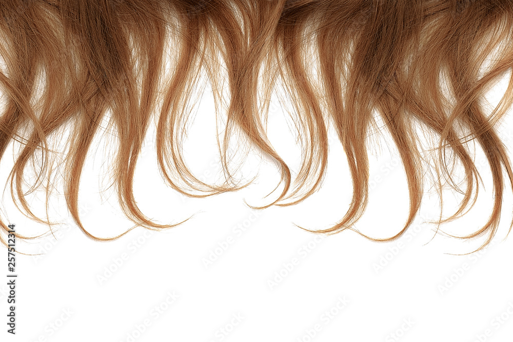 Brown hair tips isolated on white background. Close-up