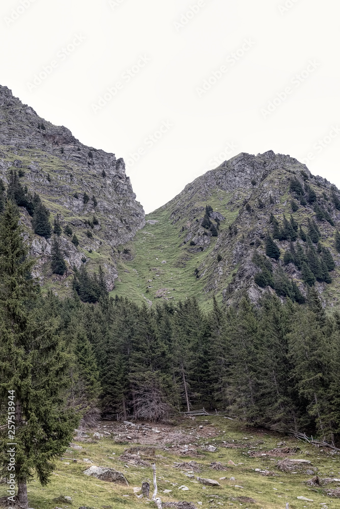 Taufenscharte, Alpen, Südtirol