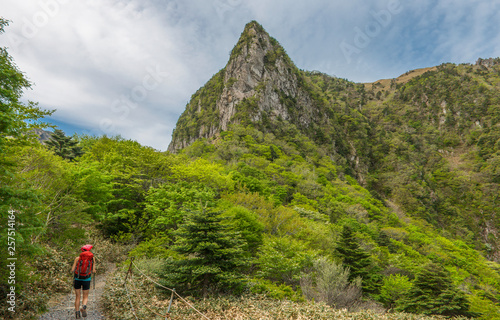 on the Gwaneumsa hiking trail to Hallasan on Jeju Island photo