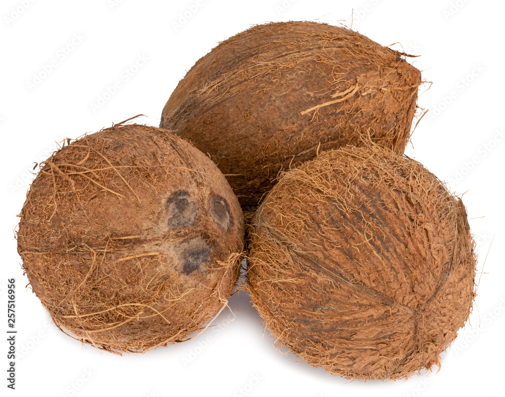 coconuts isolated on the white background  with clipping path