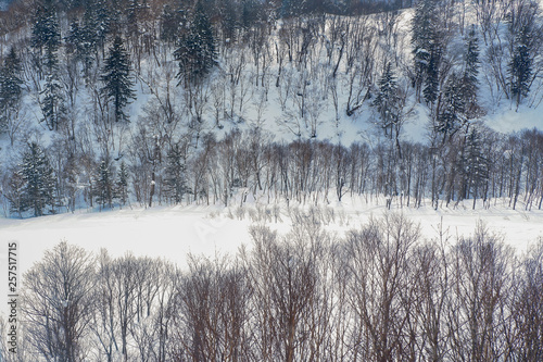 Winter holidays skiing at Sapporo Kokusai, Hokkaido, Japan.