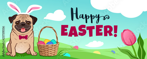 Cute pug dog in bunny costume sits in green field, Easter basket full of candy eggs, eggs hidden in grass, vector cartoon illustration, text "Happy Easter!"  Spring, pets, egg hunt kids party theme.