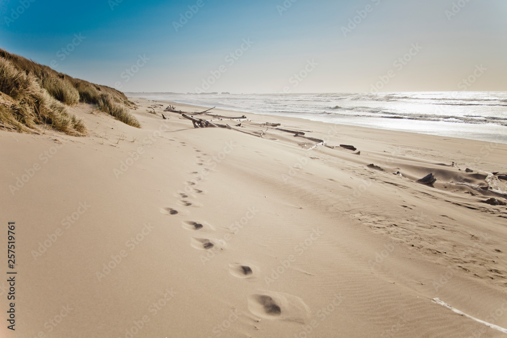 Footprints in the sand on Bullards Beach, Oregon.