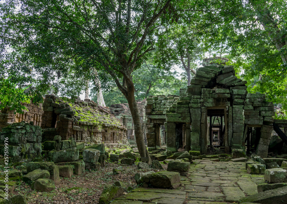 Ruins in the Angkor Archeological Park, a UNESCO World Heritage Site