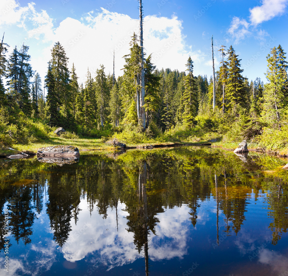 Forest reflecting in one of Vicar Lakes, Vancouver, British Columbia, Canada Forest reflecting in one of Vicar Lakes, Vancouver, British Columbia, Canada