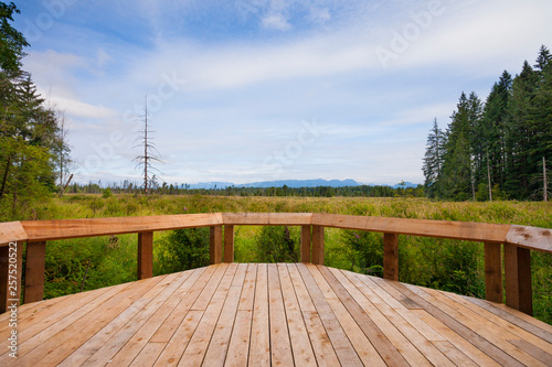 Wooden deck overlooking greenspace. photo