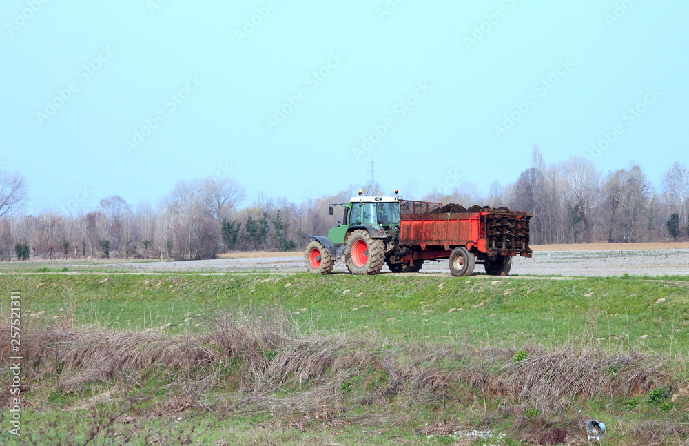 Obraz premium tractor with a cart of manure