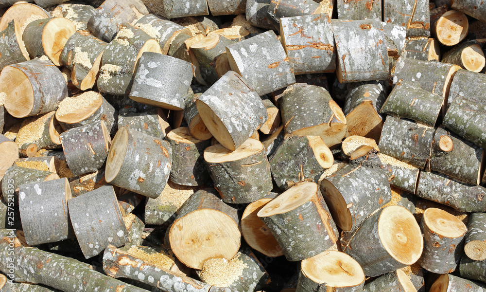 woodshed of logs and cutted trunks