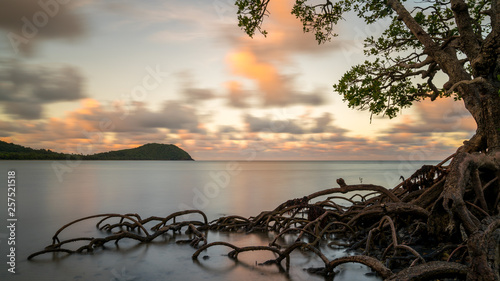 Die Sonne geht hinter dem Strand von Cape Tribulation unter und färbt die Wolken in bunte Farben photo