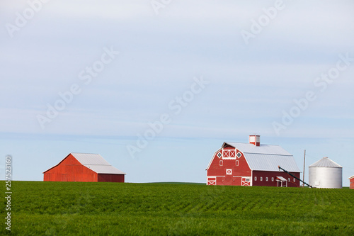 Farm with red barns and field, Palouse, Washington State, USA photo