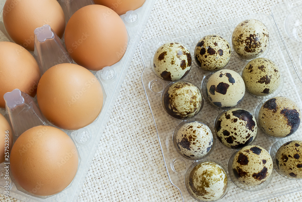 Large brown chicken eggs and small motley quail eggs in transparent plastic packages. Farmer food ingredient. Large brown chicken eggs and small motley quail eggs in transparent plastic packages. Farmer food ingredient.