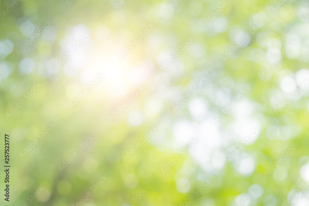 Obraz premium Natural spring blurred green leaves background.