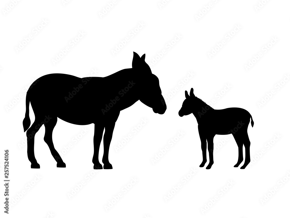 Donkey farm mammal black silhouette animal. Vector Illustrator.