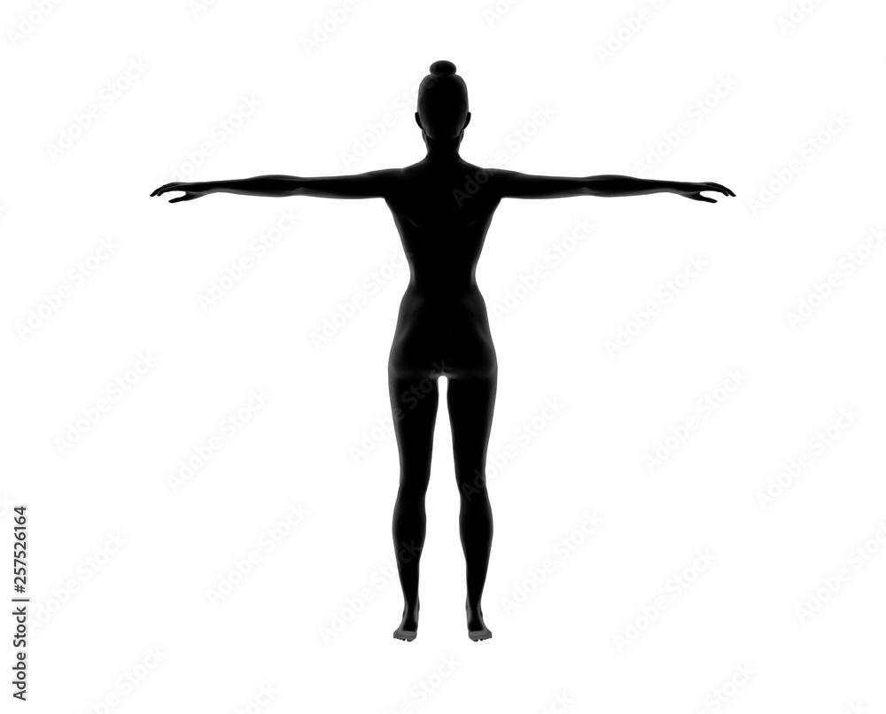 Woman Nude Body silhouette Anatomy on isolated White. 3D Rendering