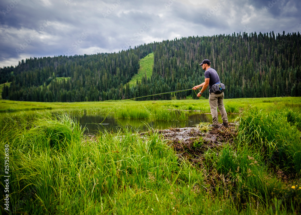Man fly fishing in beaver pond, Hermosa Creek Valley, Colorado, USA Man fly fishing in beaver pond, Hermosa Creek Valley, Colorado, USA