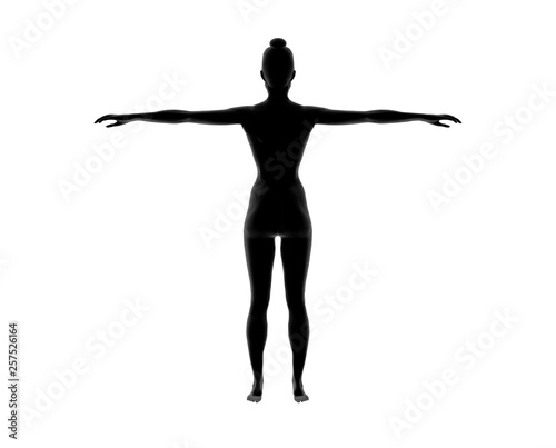 Woman Nude Body silhouette Anatomy on isolated White. 3D Rendering