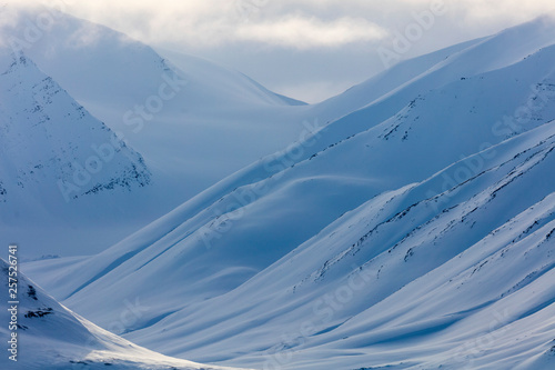 snowy drape, Spitzbergen, Svalbard photo