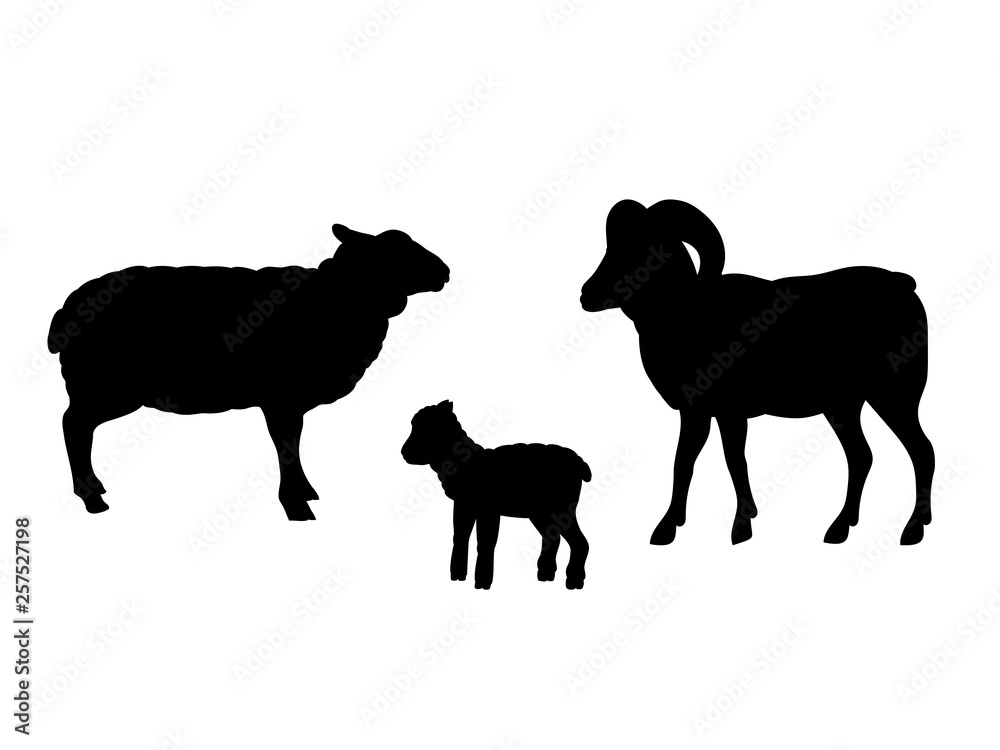 Ram sheep lamb farm mammal black silhouette animal. Vector Illustrator.	
