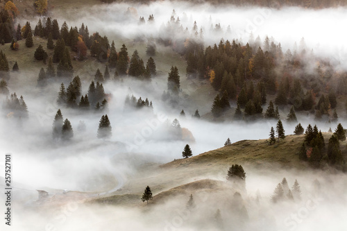 Rolling, tree-lined hills in a foggy landscape