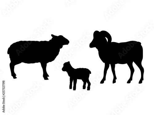 Ram sheep lamb farm mammal black silhouette animal. Vector Illustrator.	