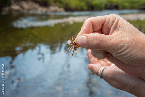 Mangled fly during fly fishing day in Montana. photo