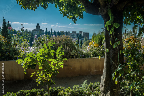  Beautiful gardens of the Alhambra in Granada