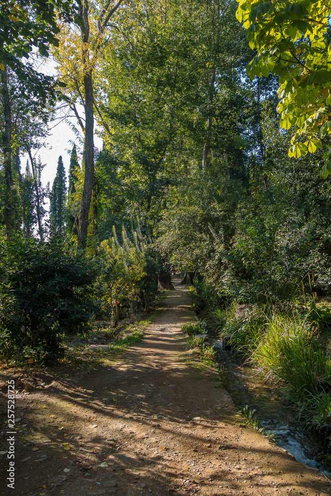 Obraz premium Beautiful gardens of the Alhambra in Granada