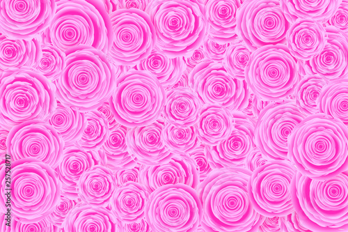 Flower background. Background of many pink roses.