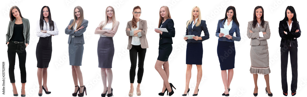 panoramic collage of a group of successful young business women. panoramic collage of a group of successful young business women.