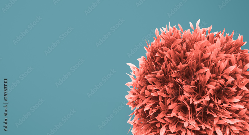 Colored grass on blue background Colored grass on blue background