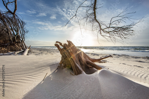 Fototapeta Naklejka Na Ścianę i Meble -  ferien