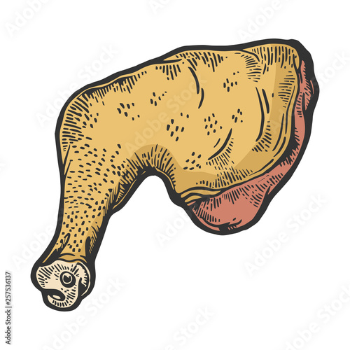 Chicken leg meat food color sketch engraving vector illustration. Scratch board style imitation. Black and white hand drawn image.