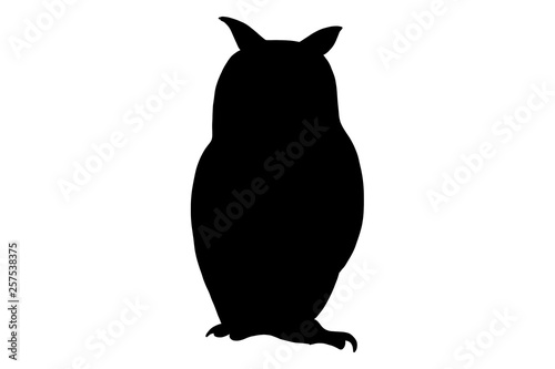 Owl bird, vector black color silhouette illustration for icon, logo, poster, banner. Abstract Wild animal, isolated without background For zoo, hunt shop, ildlife magazine, exhibition