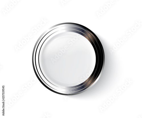 Realistic Metal and Plastic Button